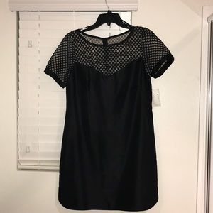 NWT sheer top dress